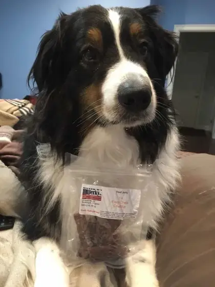Jerky lovers at Mister B’s, photo 10 of 104